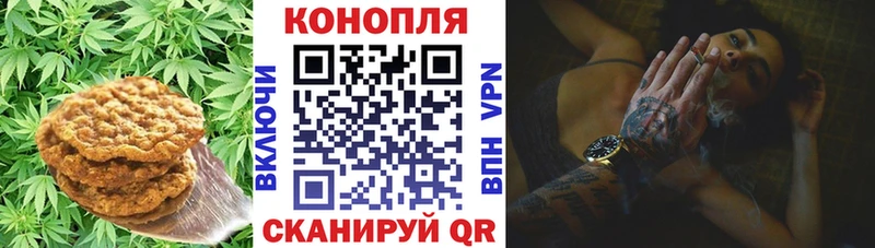 Еда ТГК марихуана  Купить где  Стрежевой 
