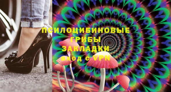 прущие грибы Вязники