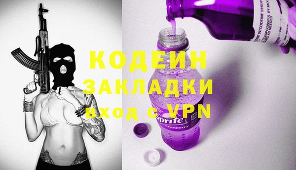 прущие грибы Вязники