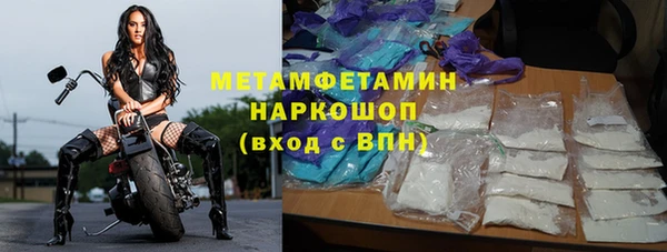 прущие грибы Вязники