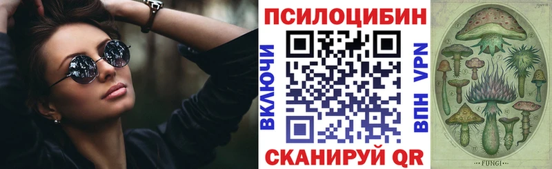 Псилоцибиновые грибы Cubensis  Купить где  Стрежевой 