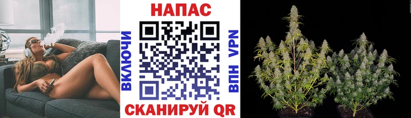Купить где  Стрежевой  Бошки марихуана Bruce Banner 